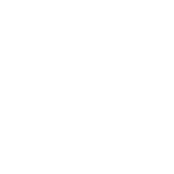 Logo of Society of American Military Engineers featuring bold text with a star and wavy stripes.