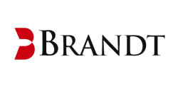 Brandt Information Services logo