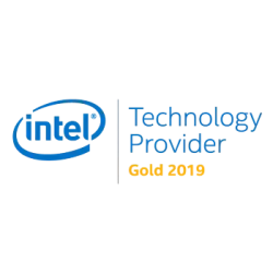 Intel Technology Provider Gold 2019 logo emphasizing innovation and technological partnership.