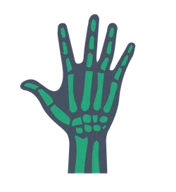 Illustration of a human hand skeleton with green bones outlined in dark blue on a transparent background
