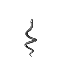 Black snake coiled in an upward spiral against a transparent background, showing detailed scales and head.