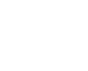 Large white dollar sign and number 21 on a transparent background symbolizing $21 amount