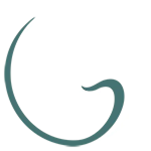 PP dental logo with a tooth icon and circular swoosh in white and teal colors on black background