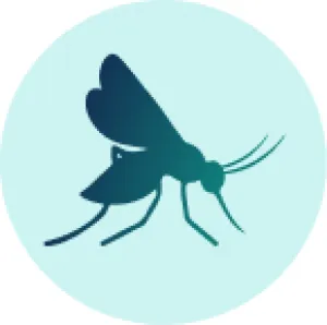 Stylized mosquito silhouette on a light teal background.