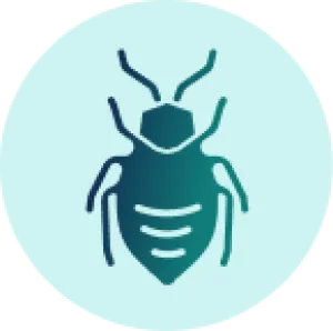 Stylized icon of a bug representing pest control services on a light blue background.