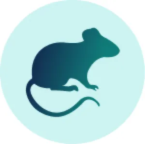 Stylized silhouette of a mouse against a light blue circular background.