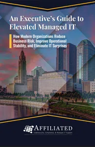 City skyline at sunset with text about an executive's guide to elevated managed IT services and risk reduction.
