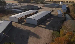 Aerial view of industrial buildings and warehouses surrounded by trees and open land on a sunny day.