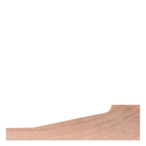 Panel Raises P-008