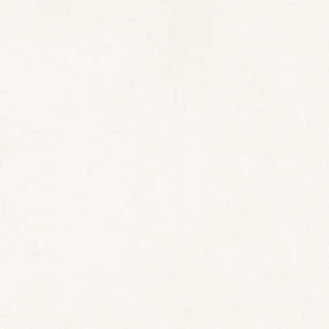 Arctic White