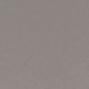 Fossil Gray