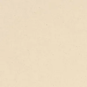 Ivory Cream