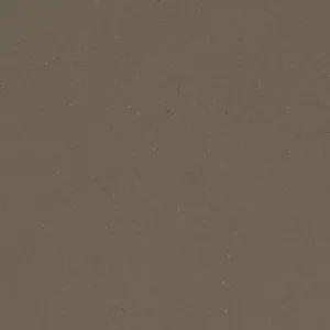 Fossil Brown
