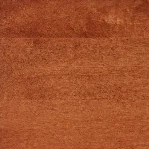 Washington Stain on Hard Maple