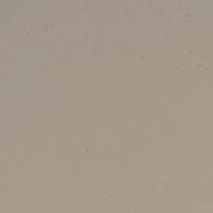 Fossil Taupe