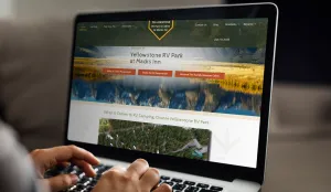 graphical user interface, website