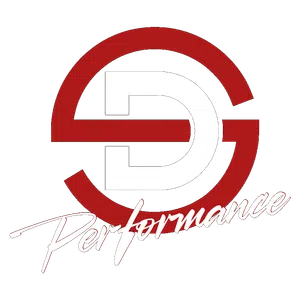 Red and white DG Performance logo featuring stylized letters and cursive text on transparent background