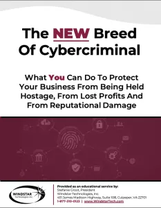 Educational flyer on protecting businesses from cybercriminals, focusing on prevention of hostage, profit loss, and reputation damage.