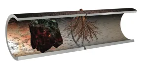 a small tree in a pot