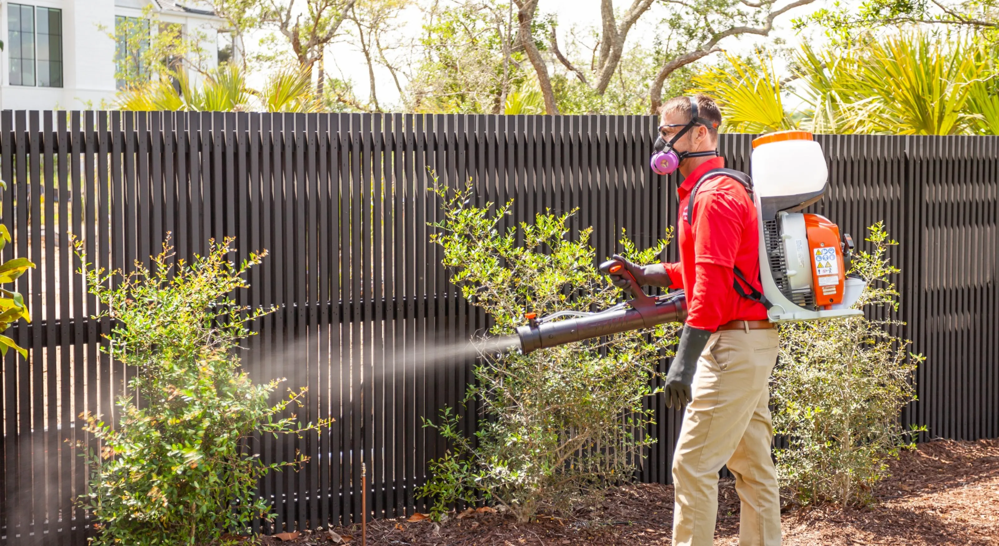 Palmetto Superior Pest, Termite & Mosquito Control Palmetto