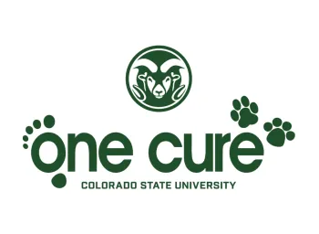 logo, company name