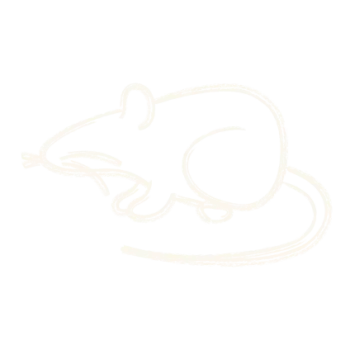 Minimalist white outline drawing of a mouse with detailed tail and whiskers on black background
