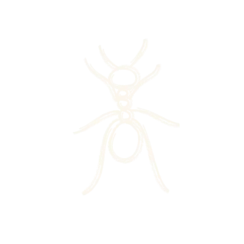 Simple white hand-drawn ant sketch with six legs on black background minimalist insect illustration