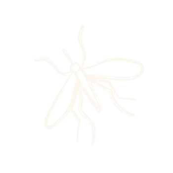 Simple white line drawing of a mosquito on a black background.