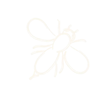 Simple white line drawing of a bee on a black background with minimal detail.