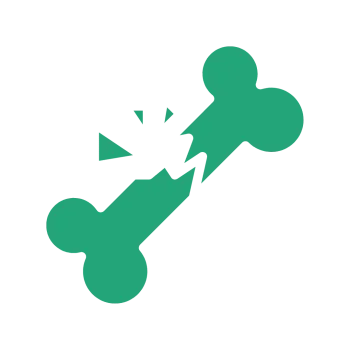 Green broken bone icon with visual cracks indicating fracture or break on transparent background.
