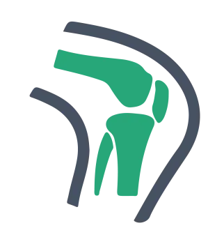 Stylized illustration of a human knee joint highlighting bones and cartilage in green and gray.