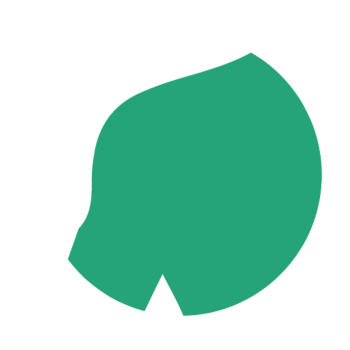 Simple green leaf icon with a pointed tip and a short stem on a transparent background