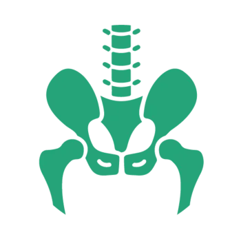 Simplified green illustration of human pelvis and lower lumbar spine bones on black background.