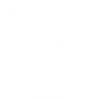 White star of life with a fire and snowflake symbol in the center on a black background