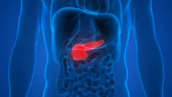 3D medical illustration of highlighted human pancreas inside a transparent torso with surrounding organs.