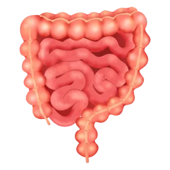 a pink brain with a black background