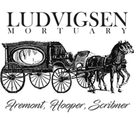 Vintage horse-drawn hearse illustration with Ludvigsen Mortuary text and locations Fremont, Hooper, Scribner.