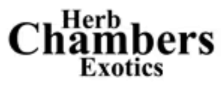 White Herb Chambers Izod logo with bold and serif fonts on black background