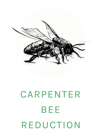 carpenter bee logo