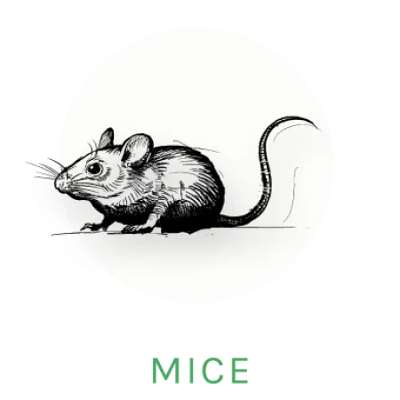 mouse logo