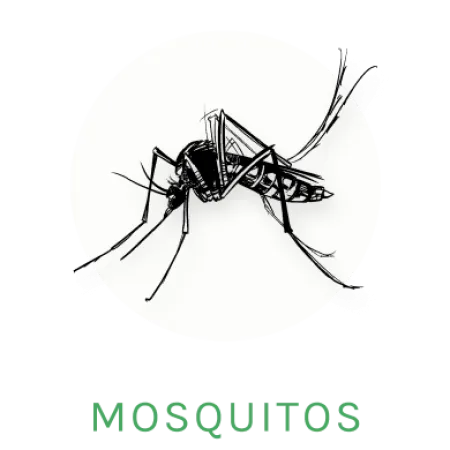 mosquito icon