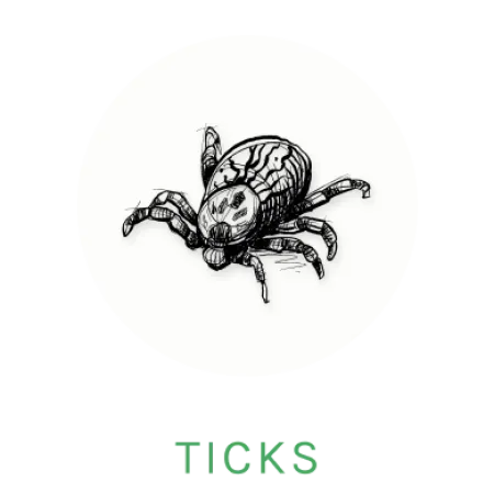 tick icon