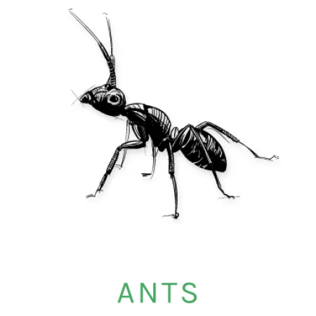 ant icon