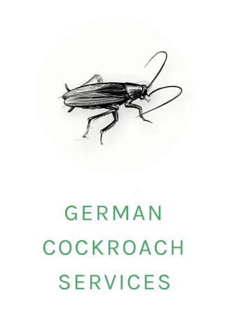 german cockroach logo