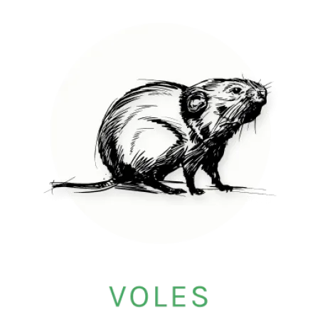 vole logo