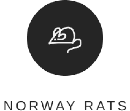 Rodent Guard Pest Control photo 4