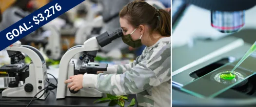 a person looking through a microscope