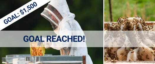 Bzzz: More Bees, Please!