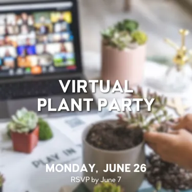 a group of plants in pots. Virtual plant party. Monday, June 26 RSVP by June 7