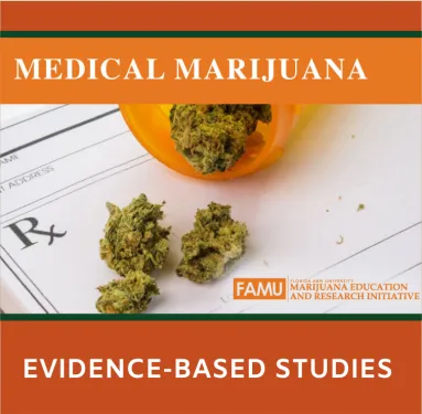 Marijuana Education | Florida A&M University Medical Marijuana ...